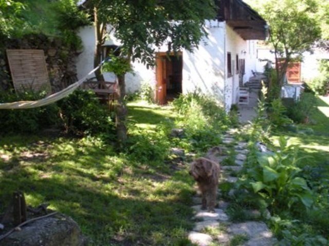 Zahrada se psem na kamenné cestě před bílým domem.