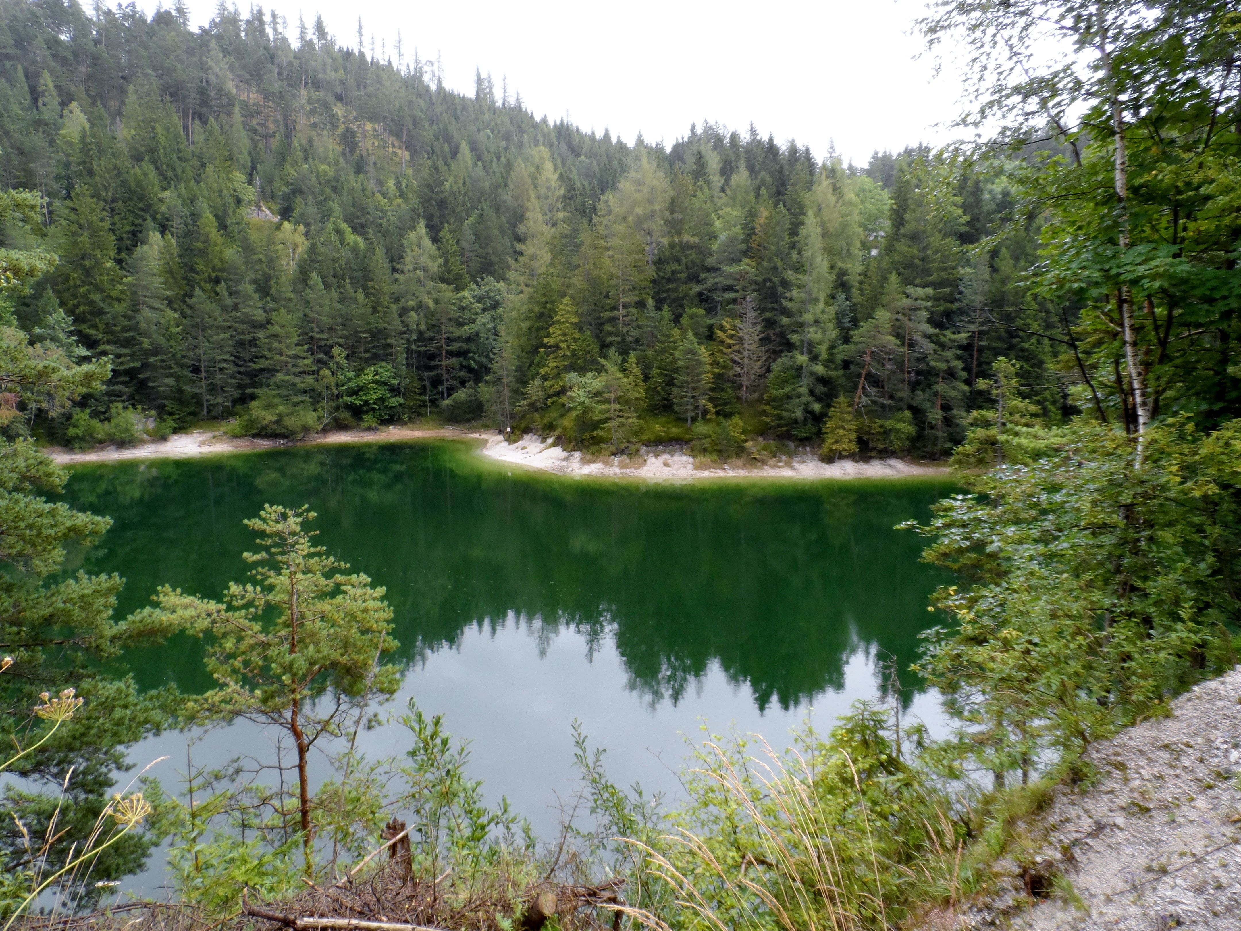 Malé zelené jezero obklopené hustými jehličnatými lesy.