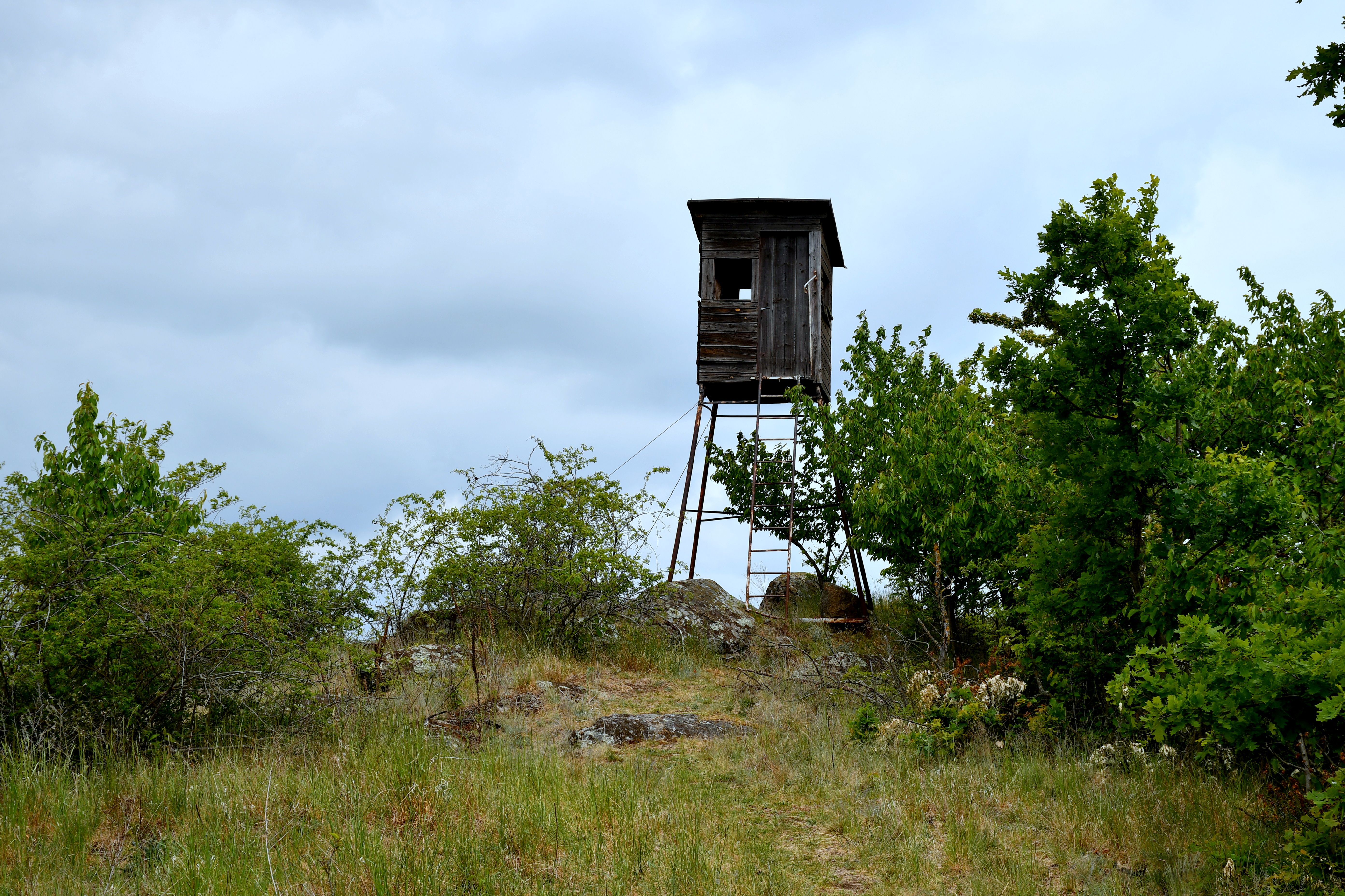 Feldberg u Roggendorfu
