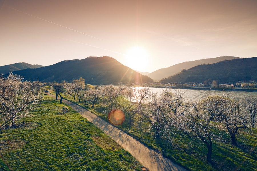 Jaro ve Wachau, © Andreas Hofer