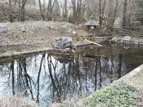 Biotop, &copy; Wiener Alpen in Nieder&ouml;sterreich - Schneeberg Hohe Wand