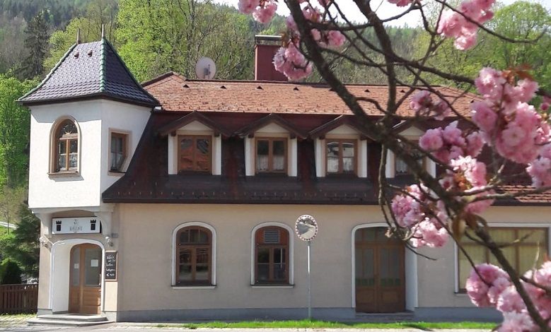 Dvoupatrová budova s věží a kvetoucími třešněmi v popředí.