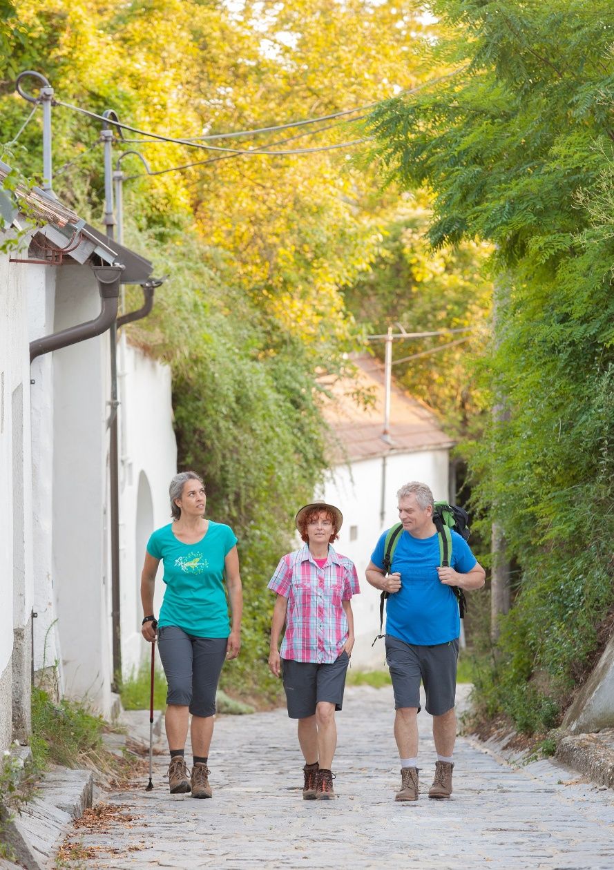 Putování sklepními uličkami Weinviertelu