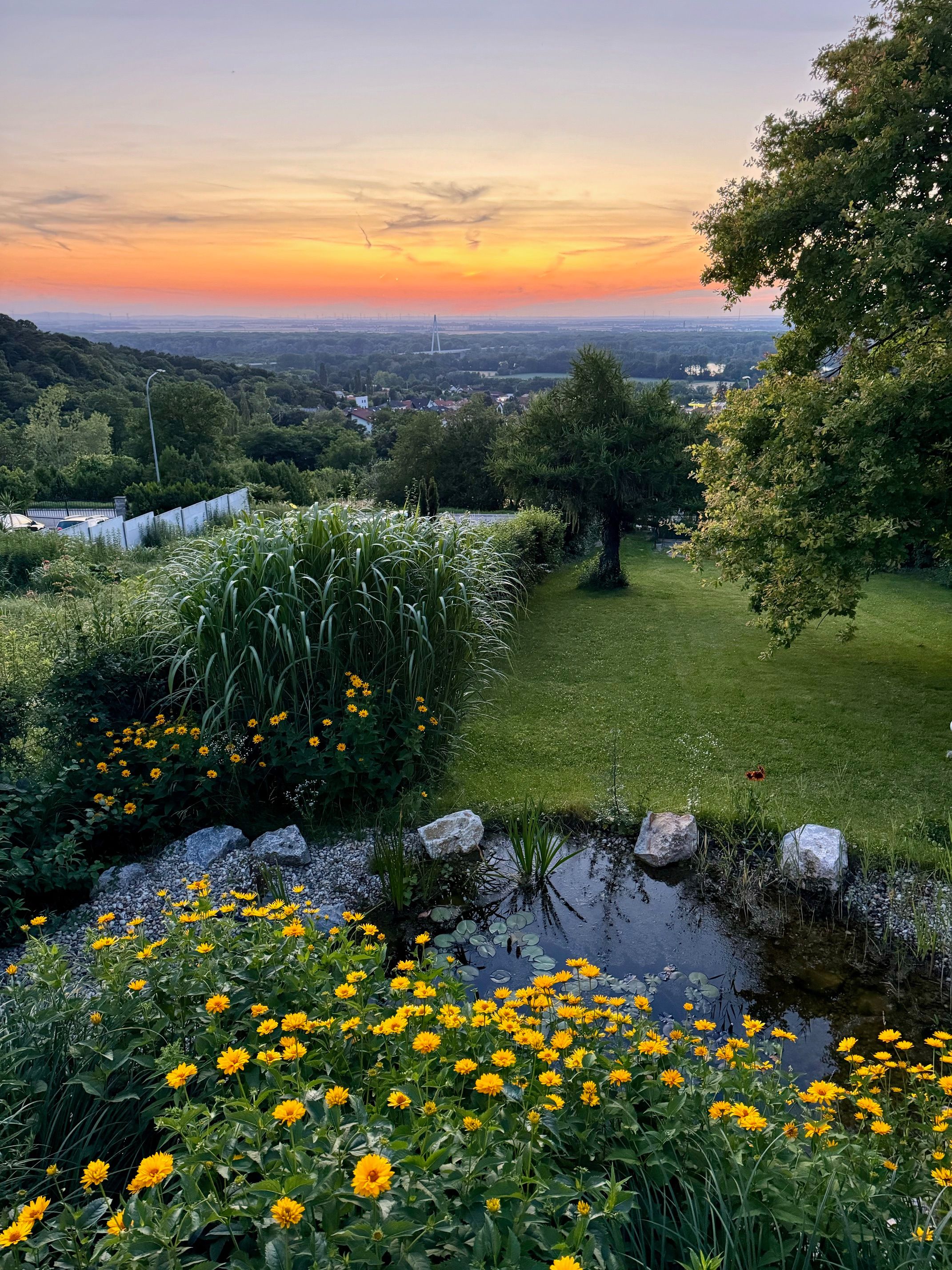 Západ slunce nad Hainburgem an der Donau ze zahrady chaty Auenblick se žlutými květy a rybníčkem v popředí.