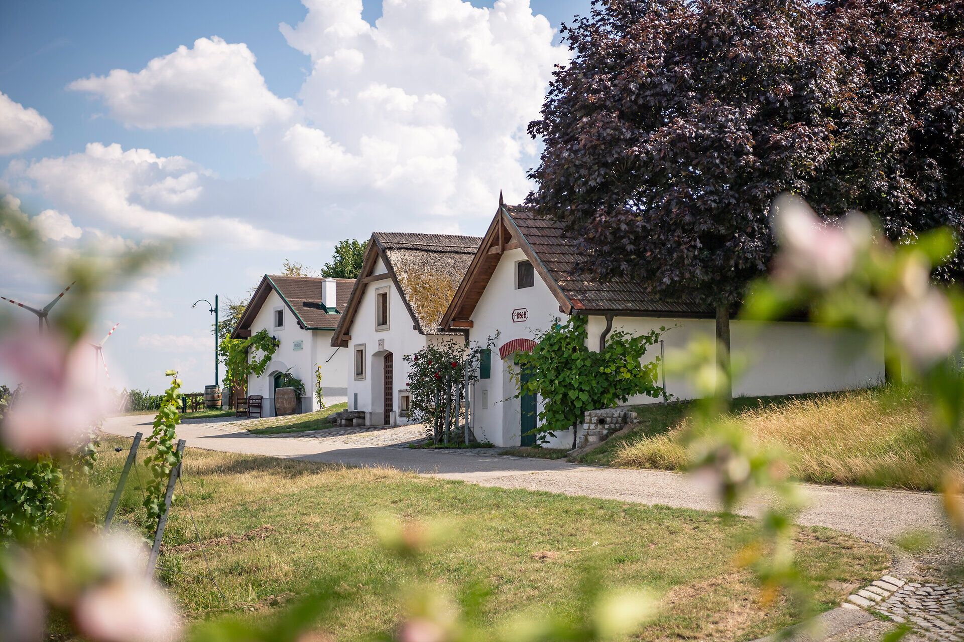 V idylické sklepní uličce Höflein lákají k posezení půvabné, tradičně zařízené chaty. Obklopeny bujnou zelení a kvetoucími rostlinami zde léto vyzařuje zvláštní klid a útulnost. Ideální místo k odpočinku a vychutnávání krás přírody.