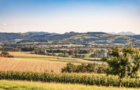 View of St. Peter/Au, © Uschi Wolf