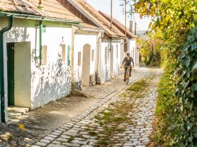 und Kellergasse, &copy; Weinviertel Tourismus / POV Robert Herbst