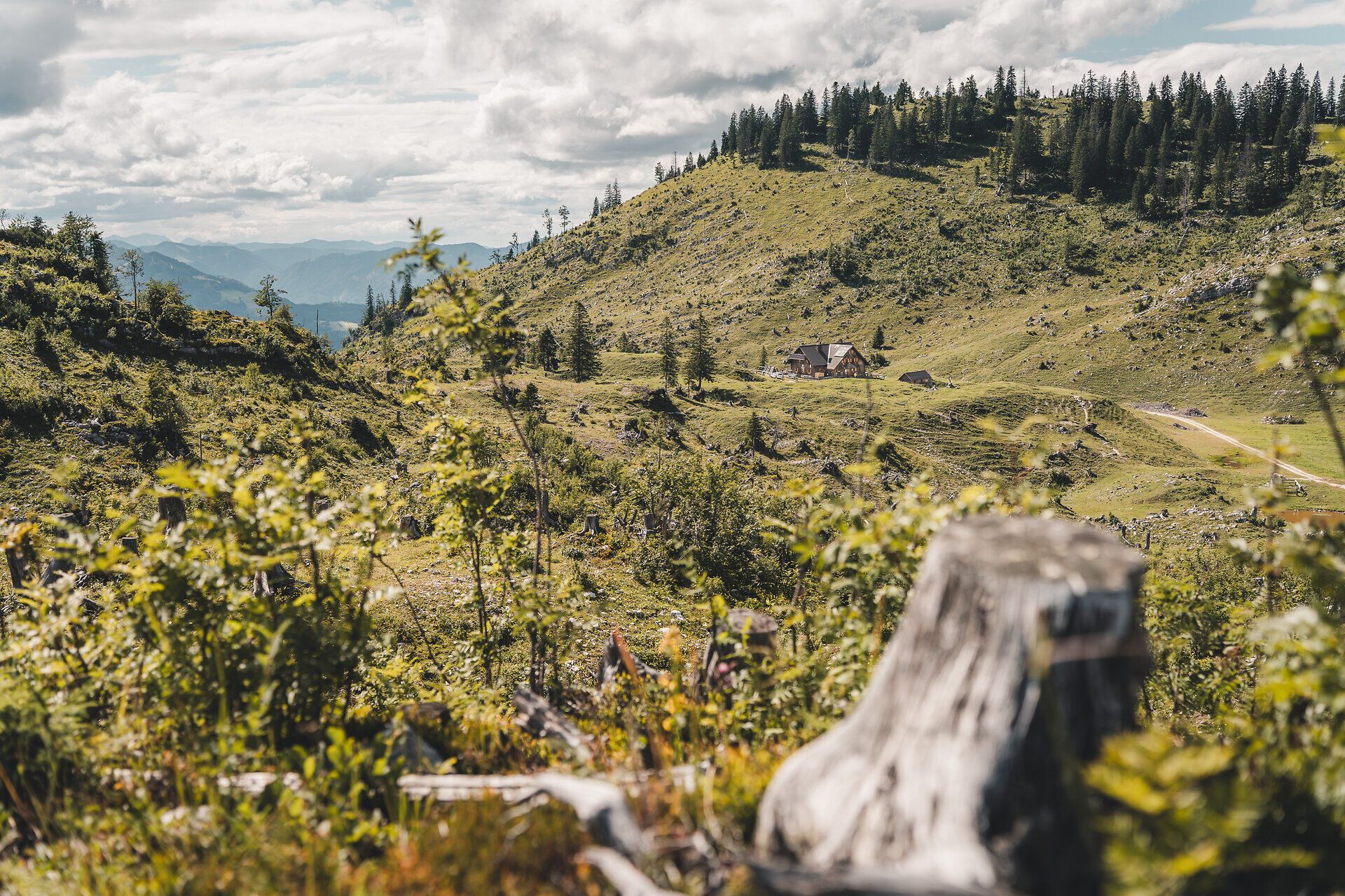 Alpská krajina kolem chaty Ybbstalerhütte v Mostviertelu.