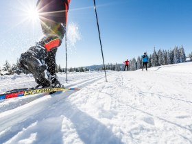 Běžeck&eacute; lyžov&aacute;n&iacute; ve V&iacute;deňsk&yacute;ch Alp&aacute;ch, &copy; Wiener Alpen in Nieder&ouml;sterreich