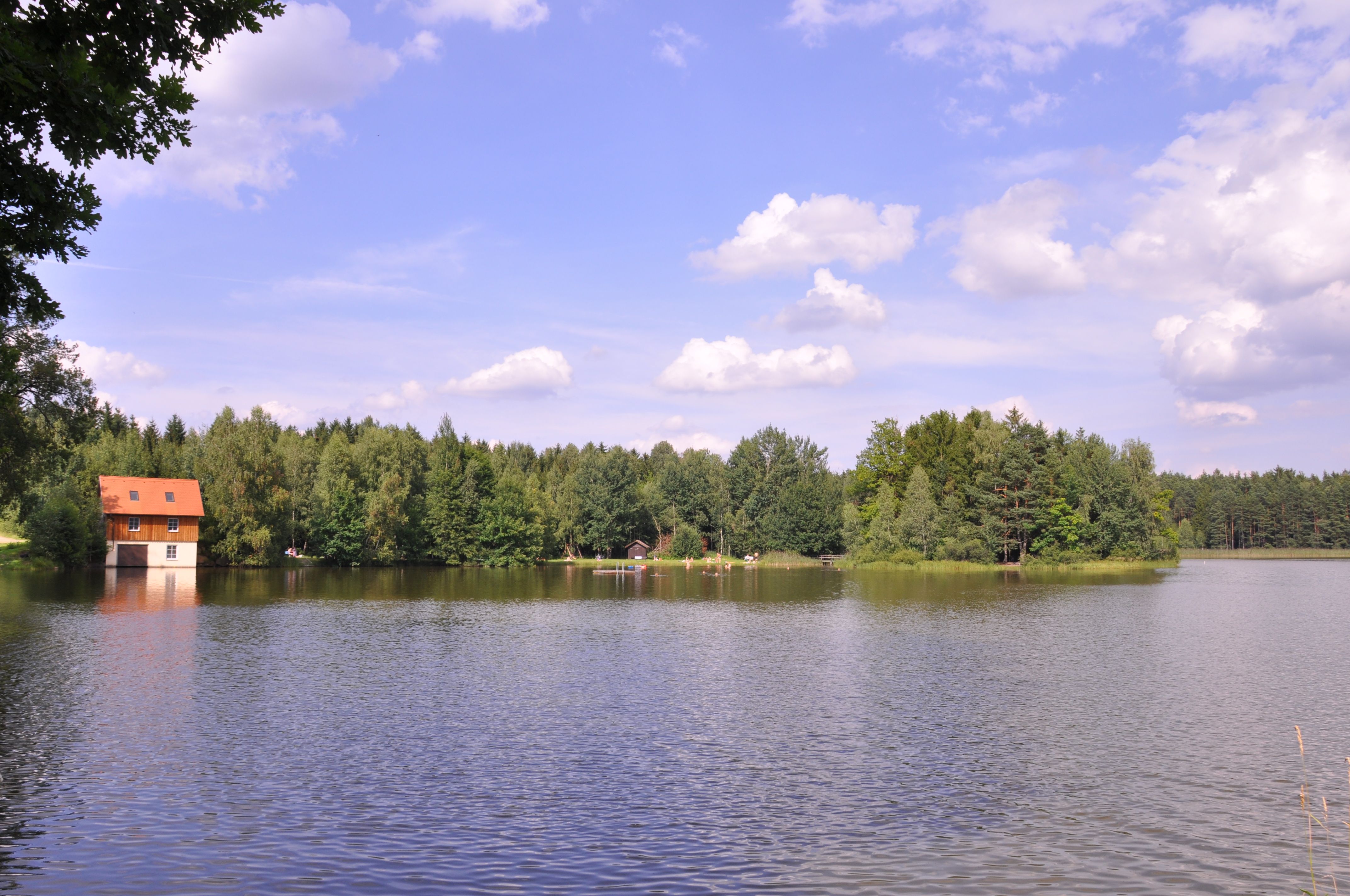 Jezero s domem na břehu, obklopené lesem a modrou oblohou s mraky.