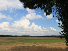 Ins freie Feld, &copy; Ch. Dafert