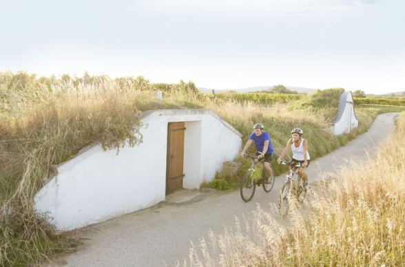 Cyklistika v Retzer Land, © Niederösterreich-Werbung/Astrid Bartl