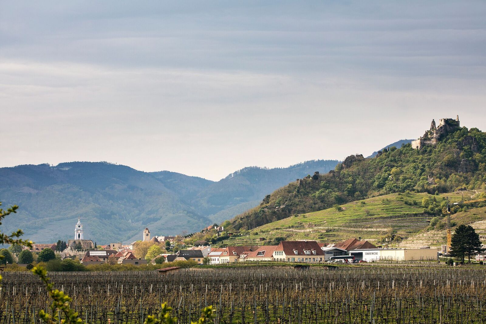 Pohled na zříceninu Dürnstein a okolní krajinu s vinicemi a vesnicí.