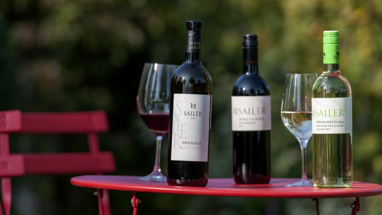 Winery Michael Sailer, © Michael Himml