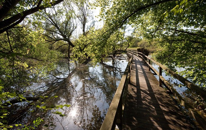 Feldmühle nature trail, © Werner Jäger