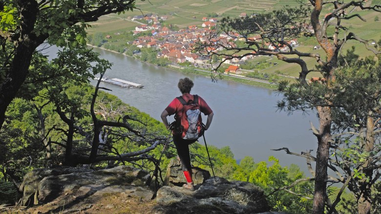 Am Welterbesteig Wachau: Abstieg Seekopf nach Rossatz, &copy; Franz Hauleitner