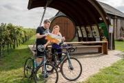 Kurzer Abstecher zum Erlebnisweingartl in Hohenruppersdorf, © Weinviertel Tourismus / Herbst