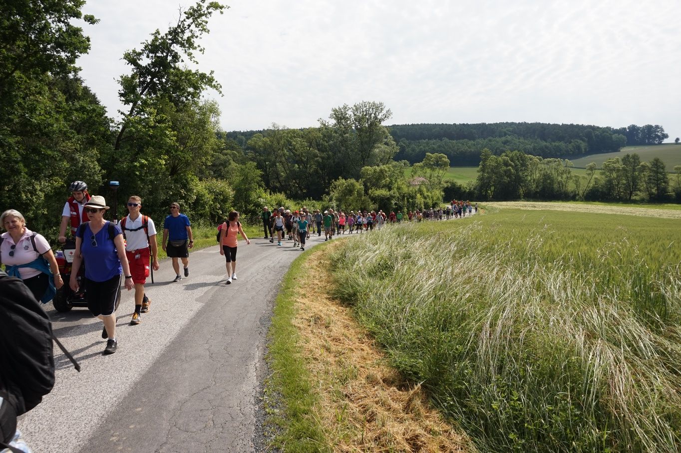 alpannonia - Regionální trasa Bad Tatzmannsdorf - Aschau