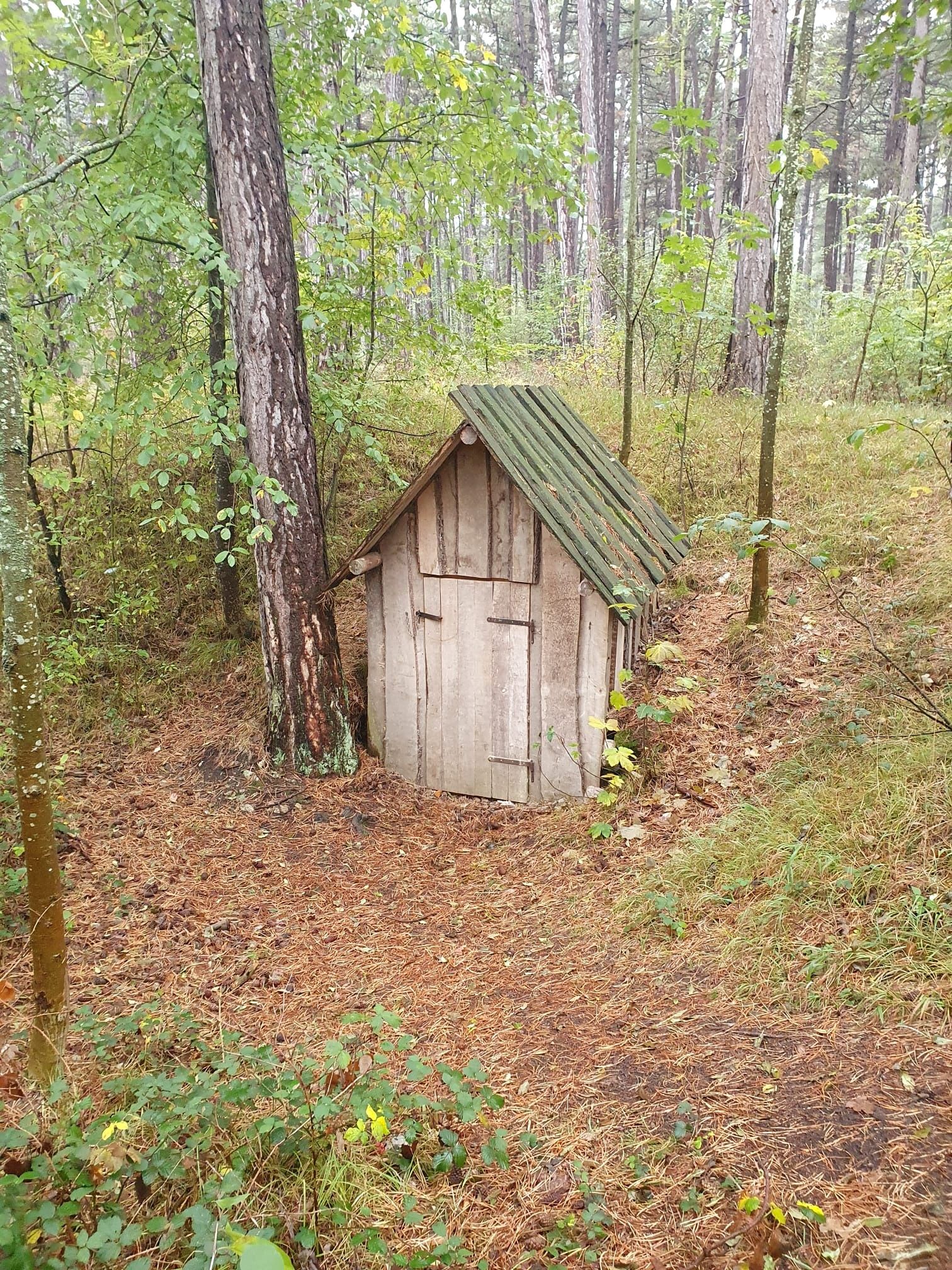 Pecherhütte