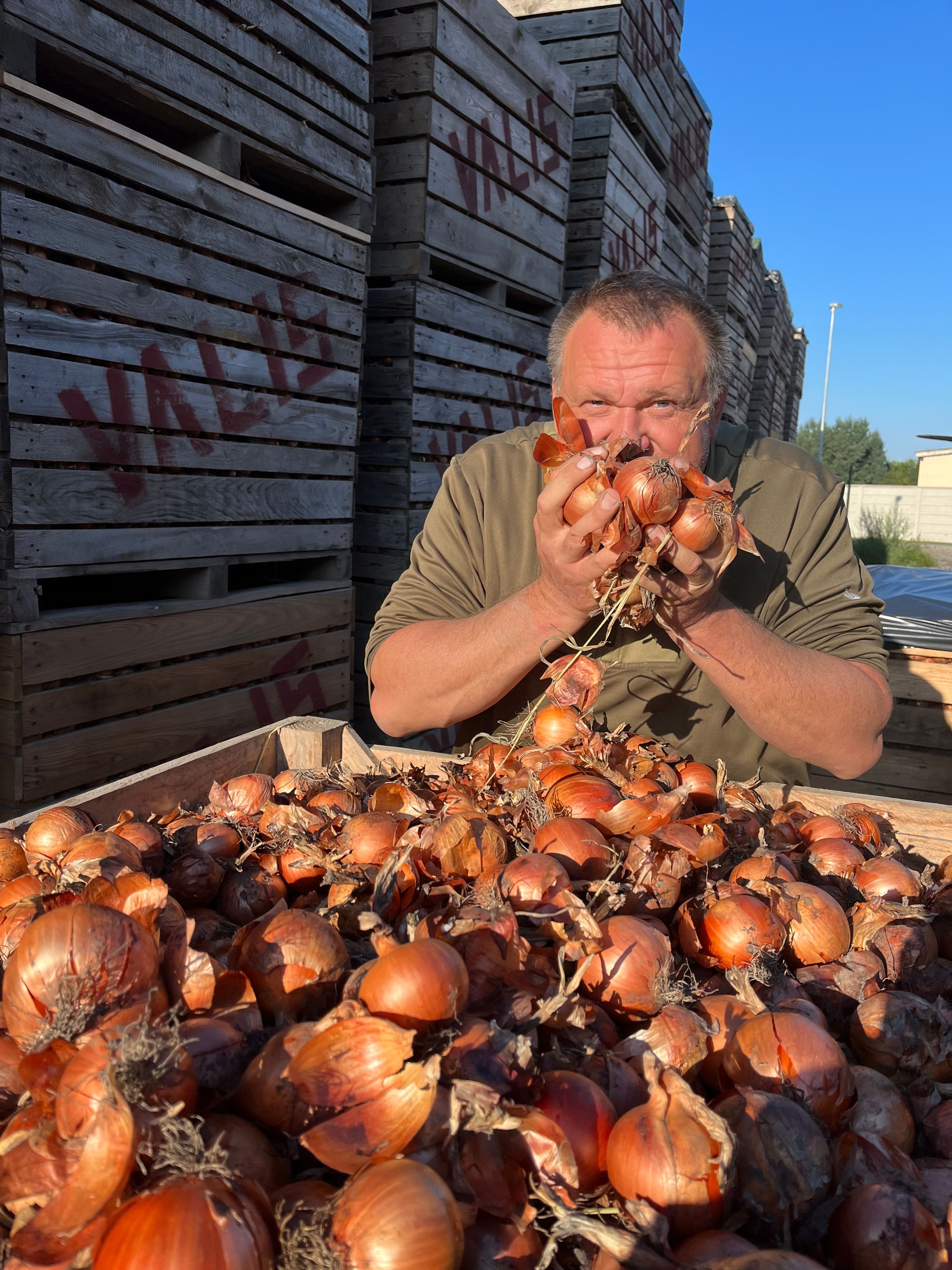 Muž držící cibuli před obličejem na farmě.
