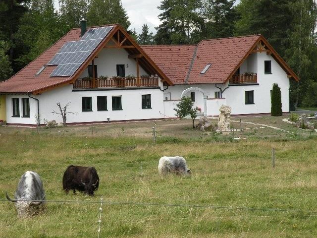 Moderní statek se solárními panely na střeše, obklopený loukou s pasoucími se jaky.