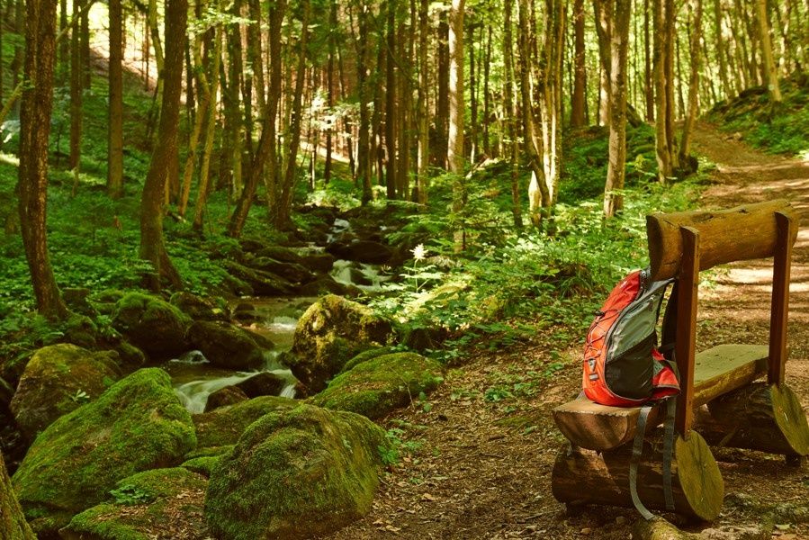 soutěska Steinbachklamm mezi Marbachem a Marií Taferl