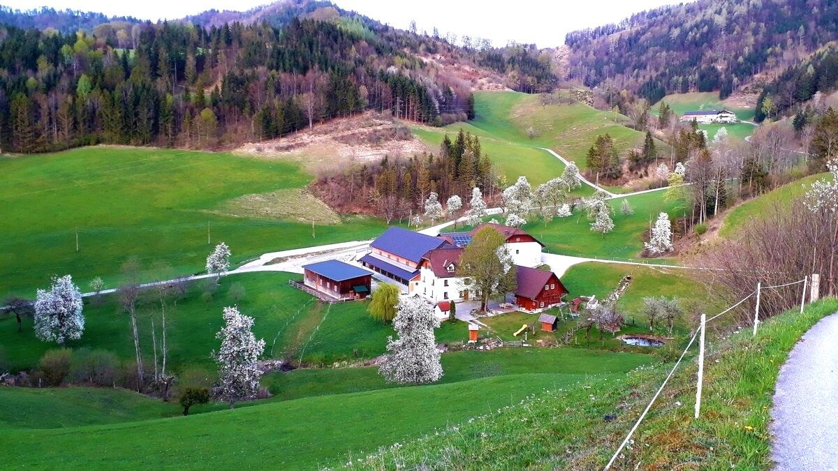 Dovolená na farmě-Oberrehau