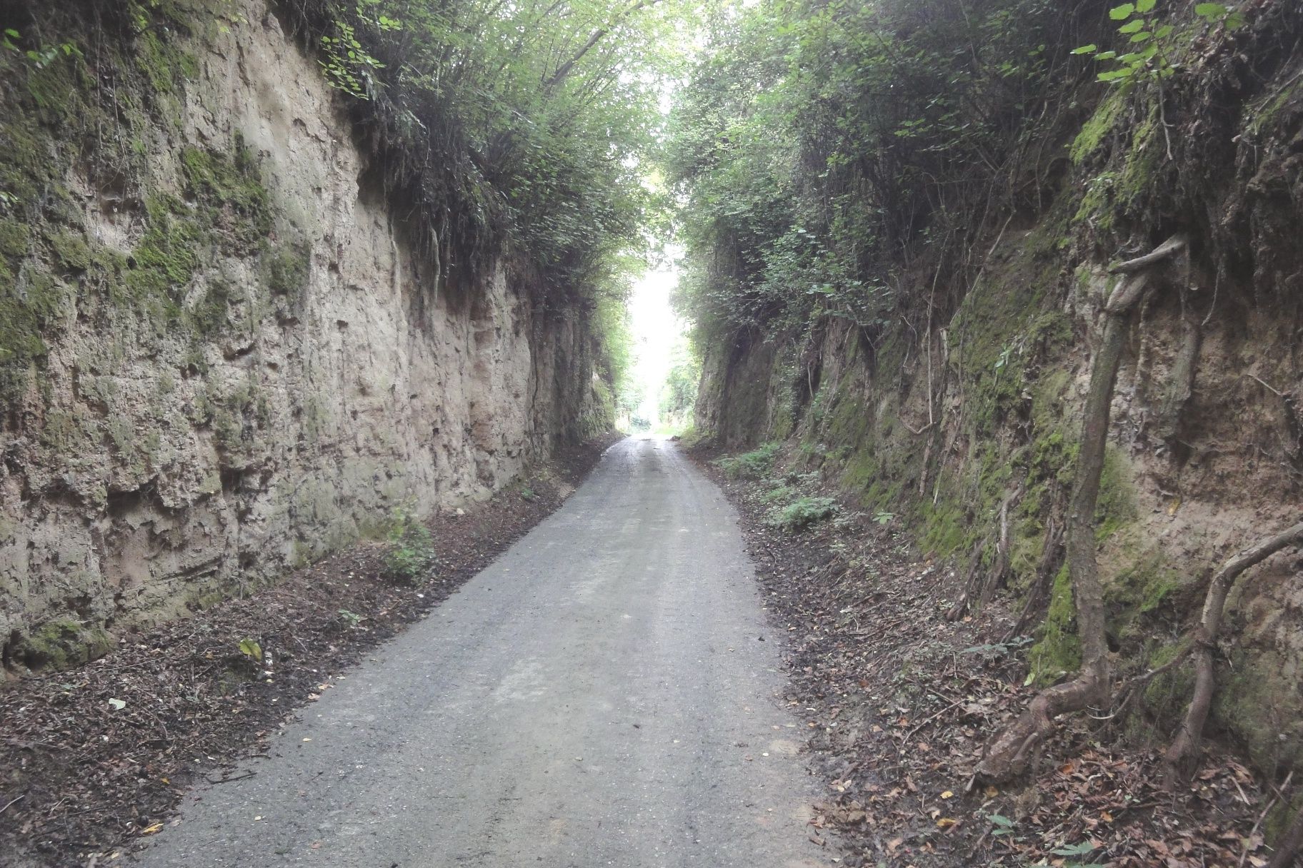 Seelackenbergweg