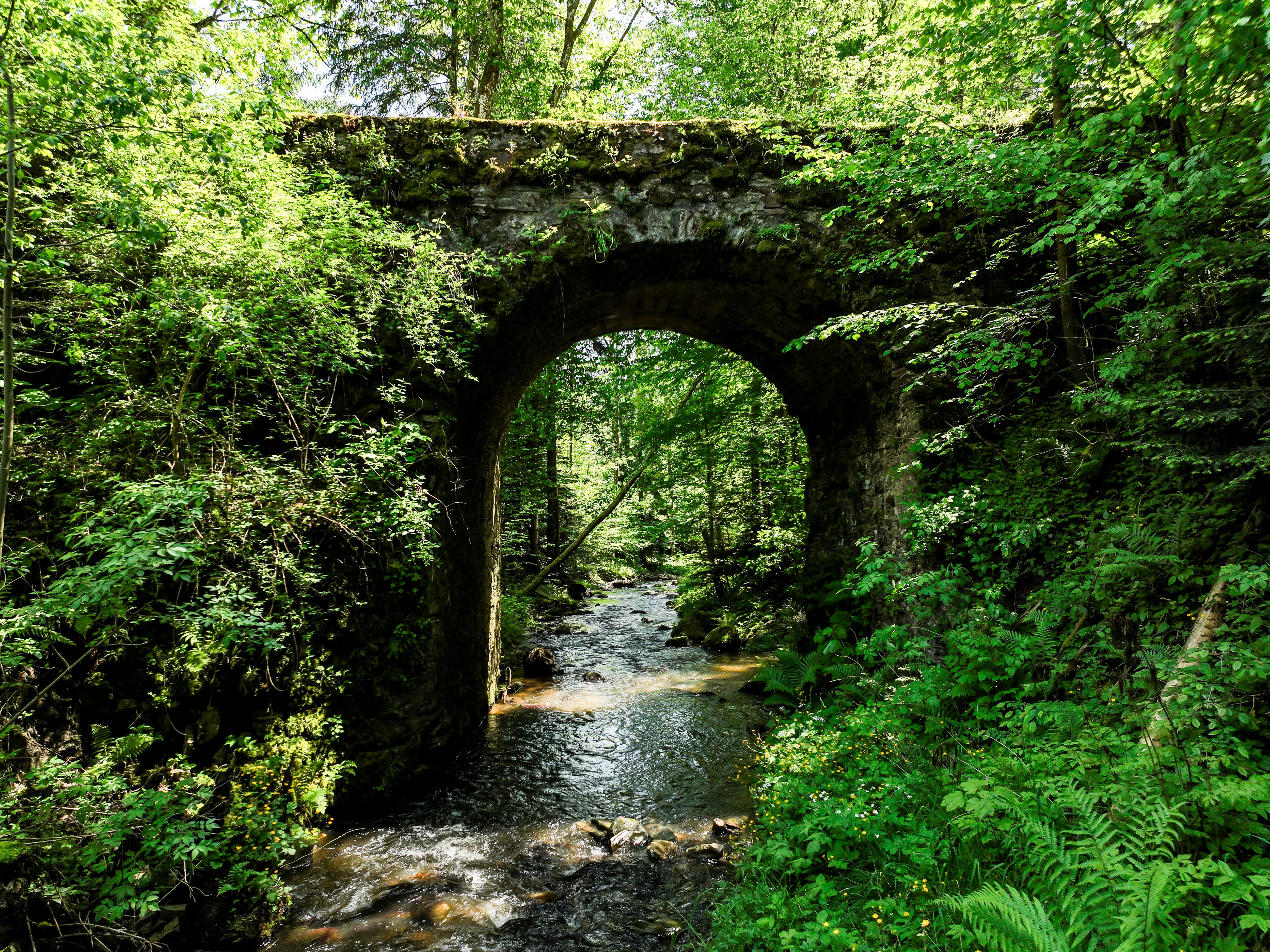  Schwarzautal – Robert Herbst (3)