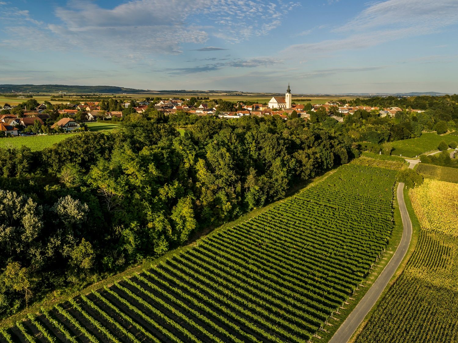 Letecký pohled na Stetteldorf am Wagram s vinicemi v popředí a kostelem v pozadí.