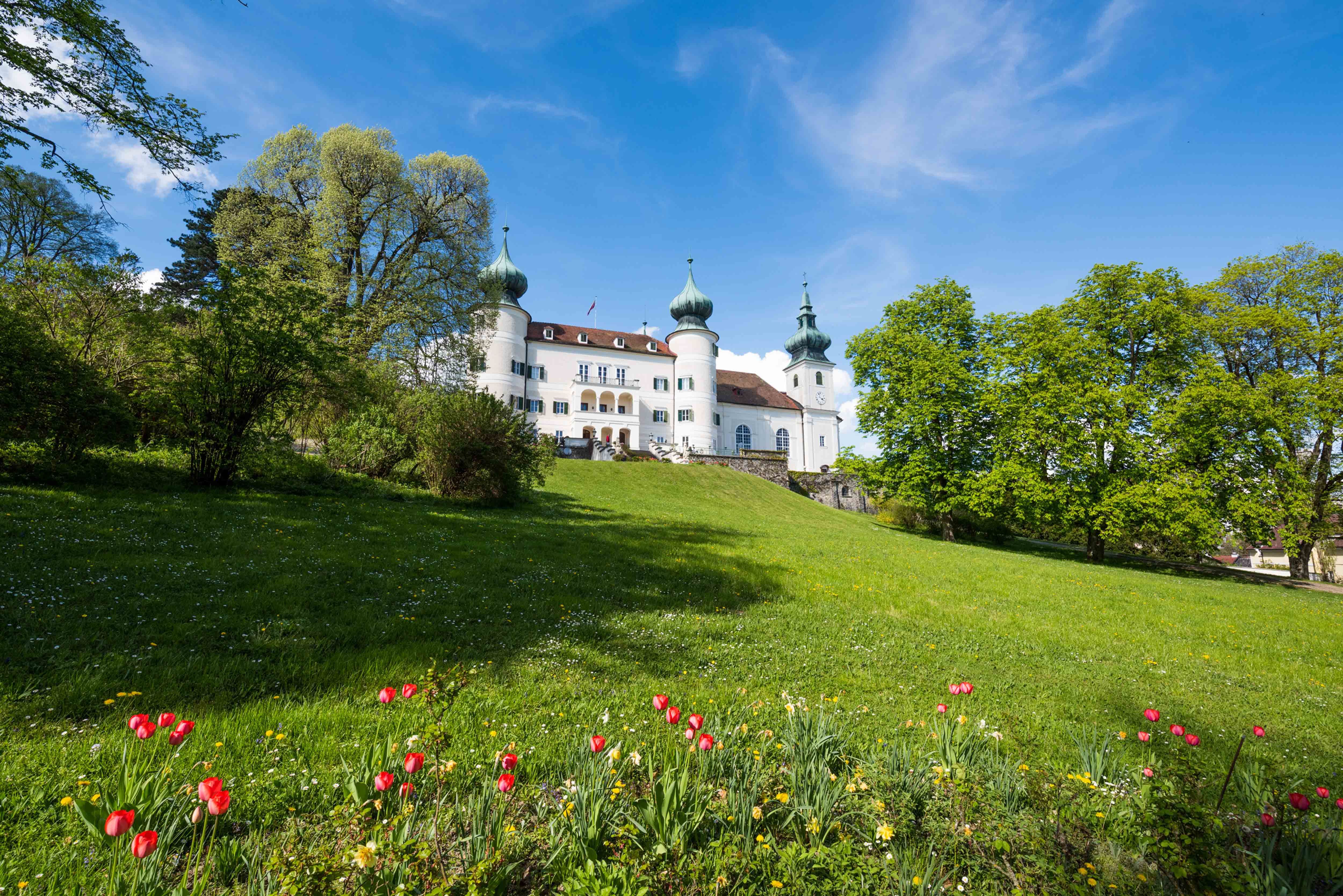 Hrad Artstetten se zelenou loukou a kvetoucími tulipány v popředí.