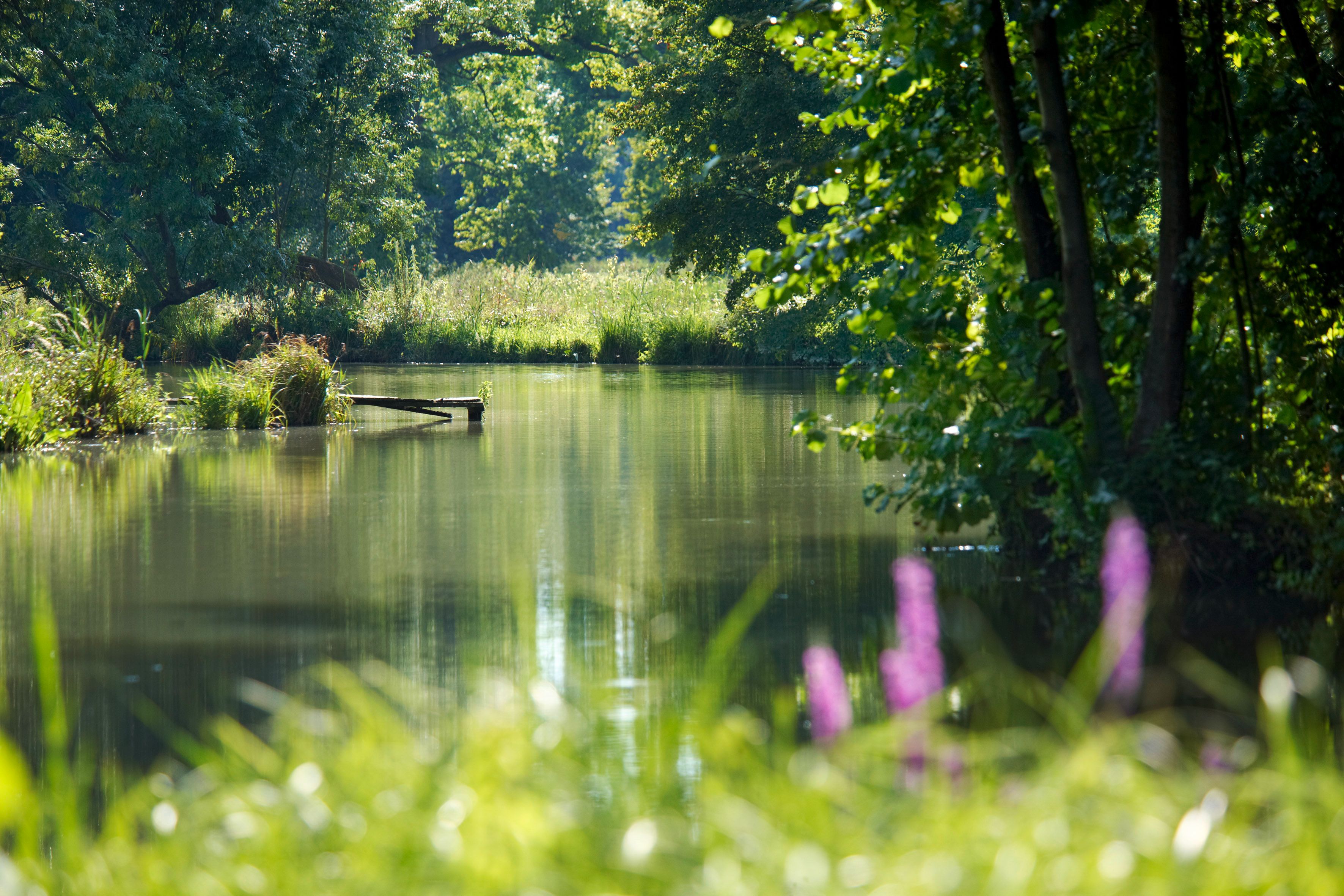 Harrachův park