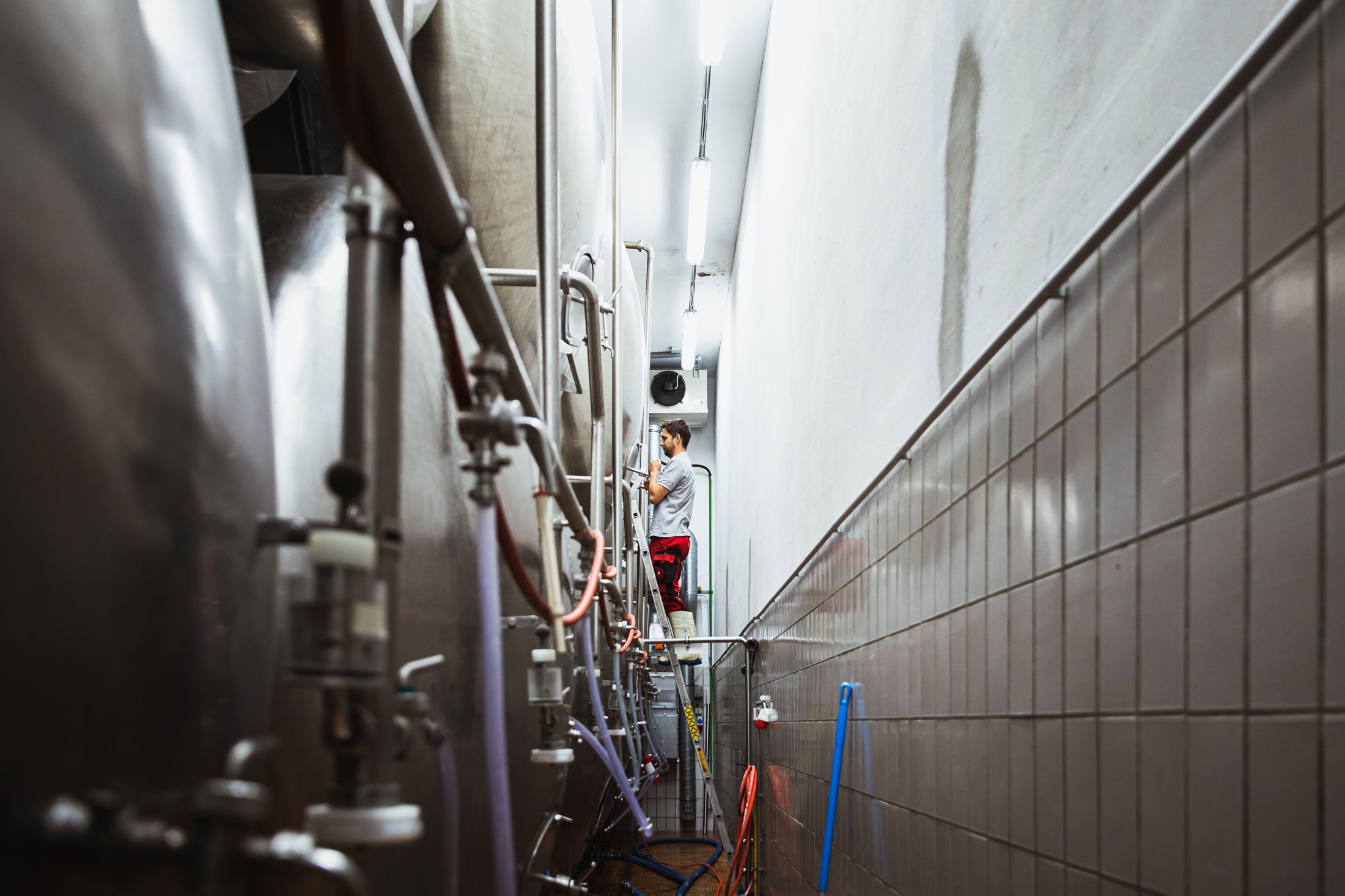 Muž pracuje na varném kotli v pivovaru.