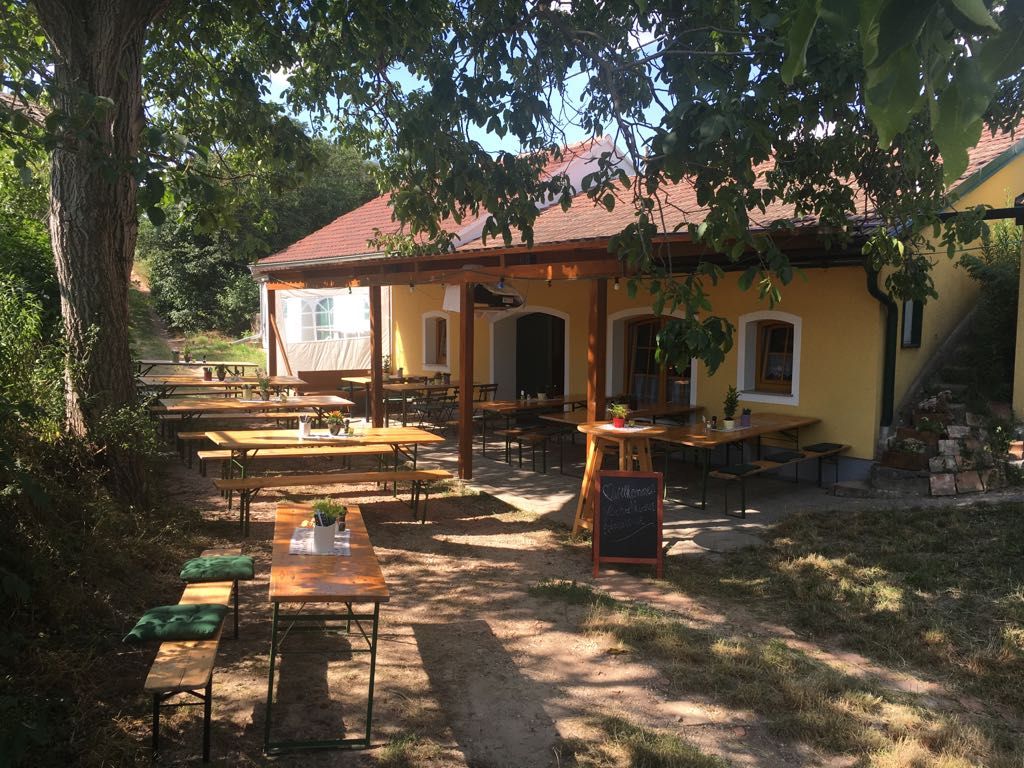 Wine Art Setkání Wieser