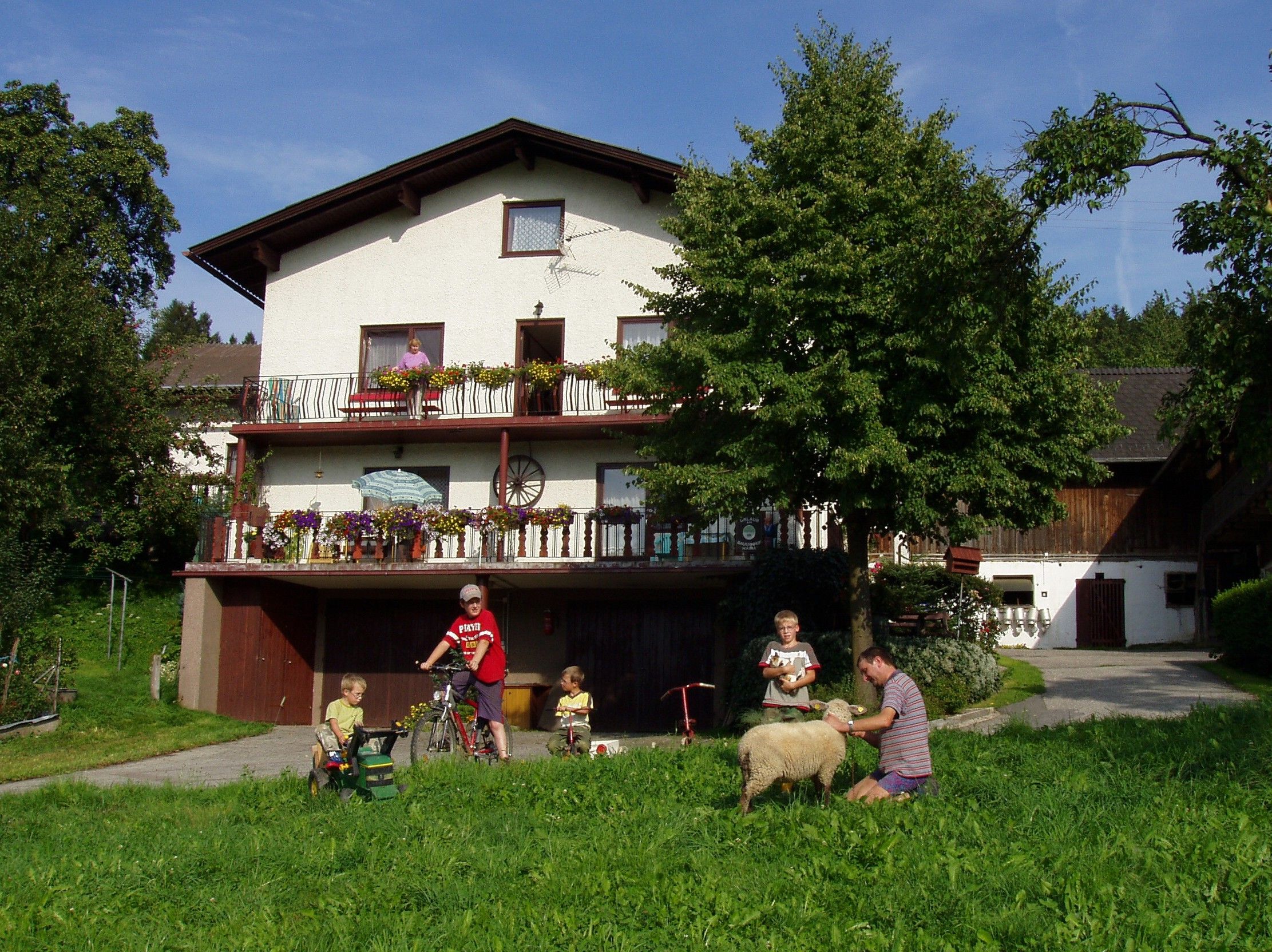 Dovolená na farmě Waira