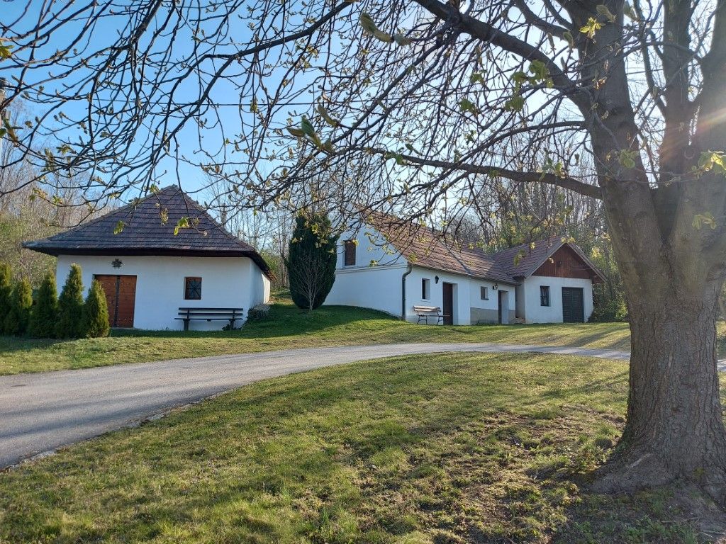 20220413_082543(c)Vino  Versum Podo - Kopie (Mittel)