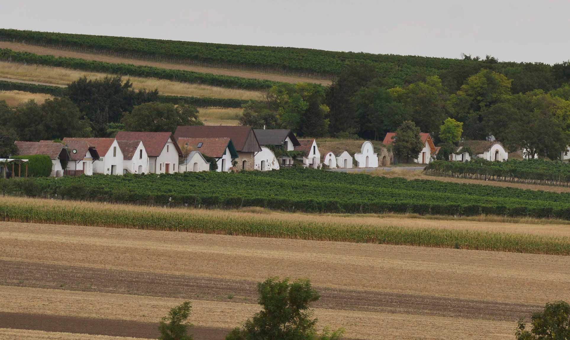 Sklepní uličky Prellenkirchen, Römerland Carnuntum