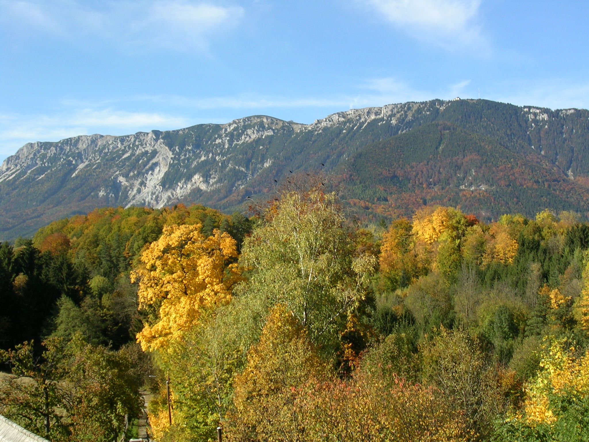 Podzimní krajina s barevnými stromy a horou v pozadí.