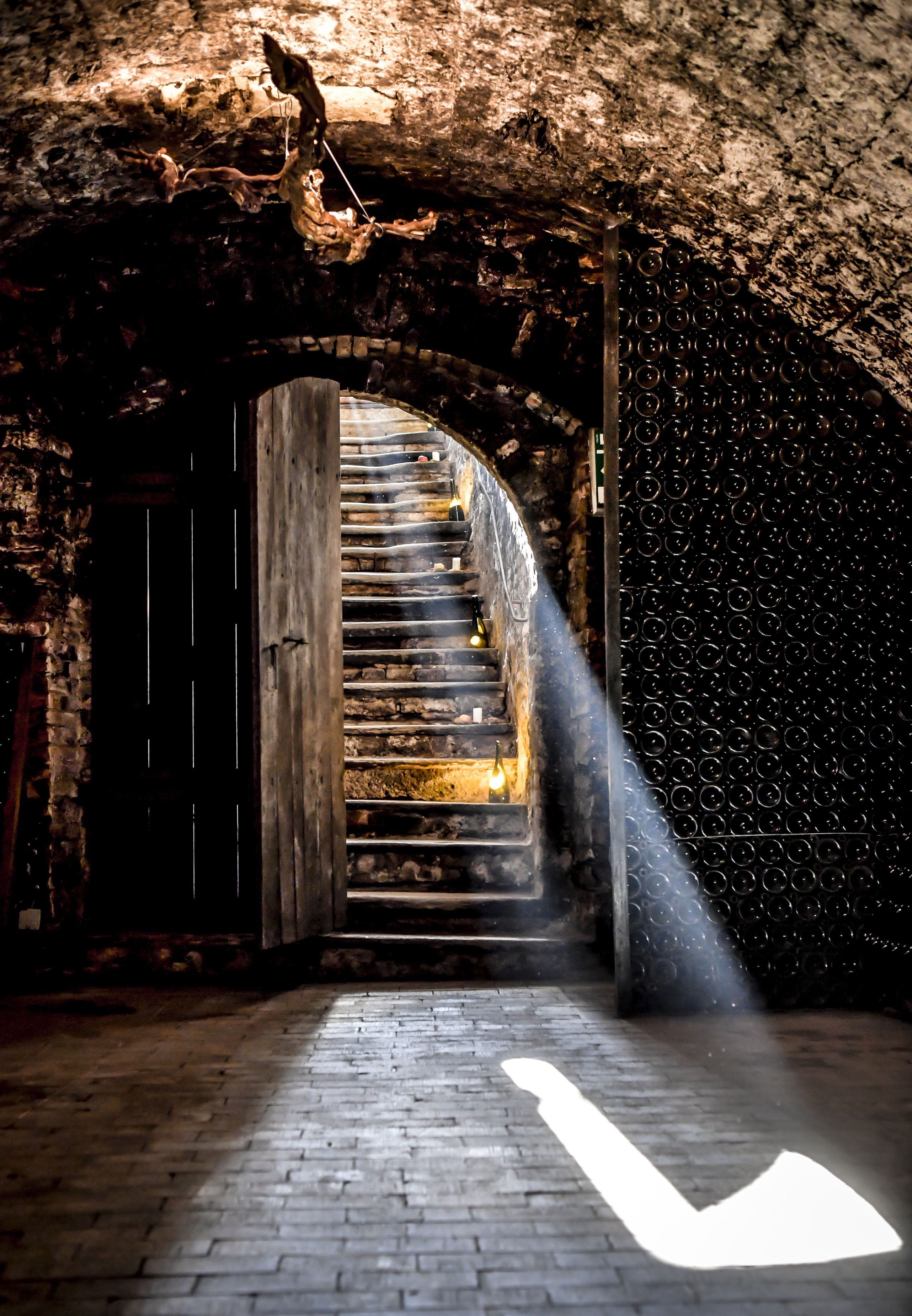 Steininger Weinwelt_Treppe in den Weinkeller©POV.at