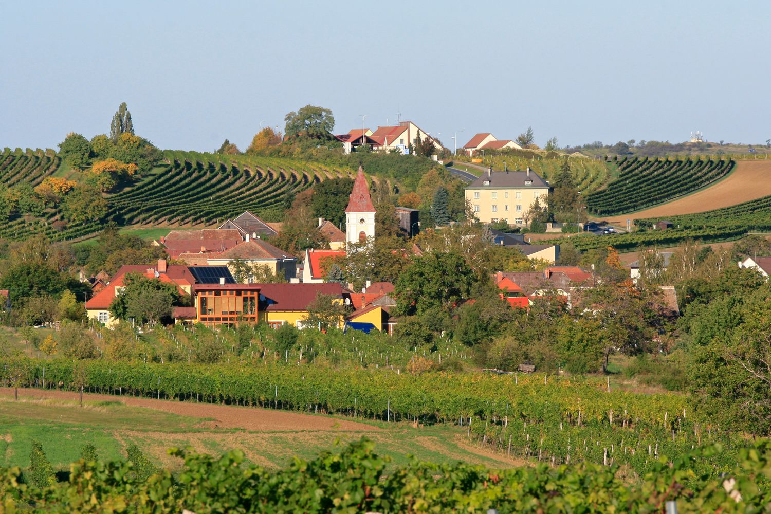 Pohled na obec Mitterretzbach s vinicemi v pozadí.
