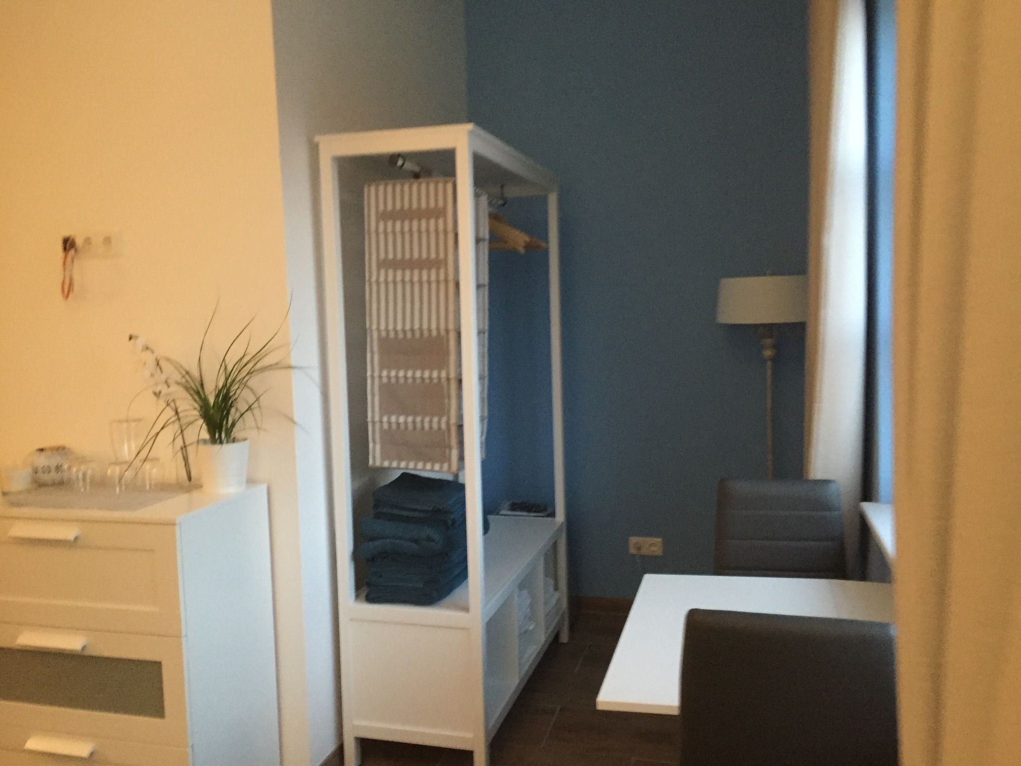 Hippo Campus, místnost