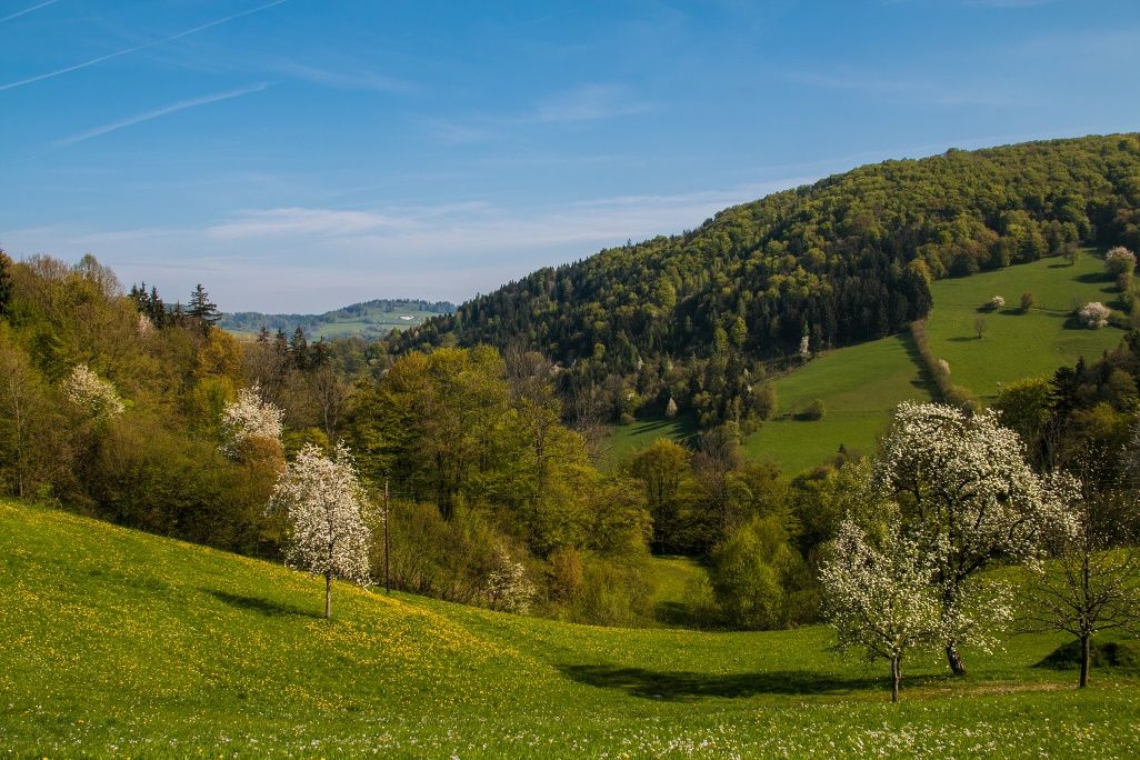 Pohled z Holzsteigu