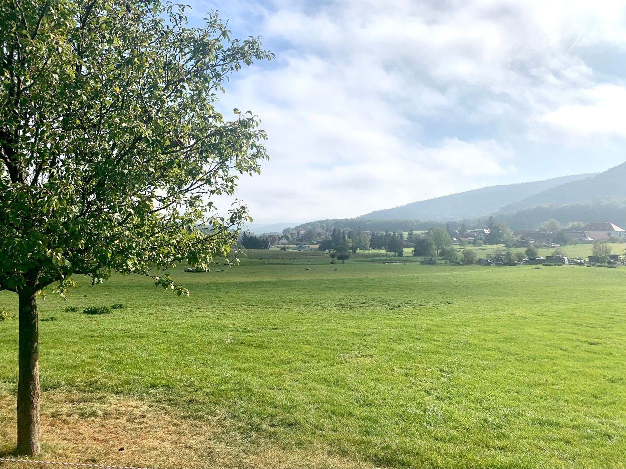 Pastviny v Oberbergern