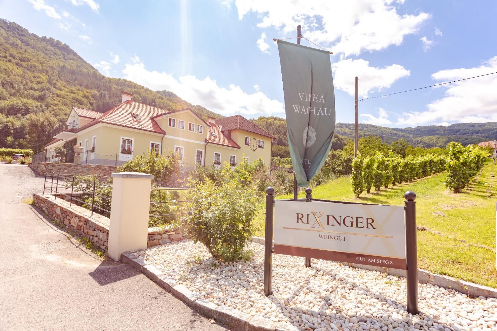 Vinařství Rixinger s budovou a vinicemi v pozadí.