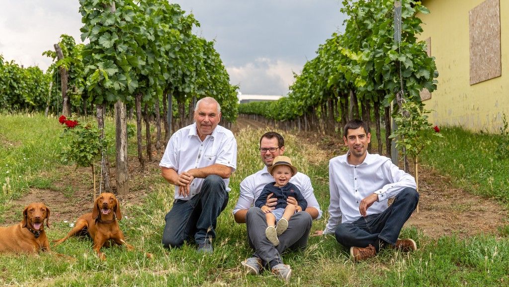 Tři muži a dítě sedí na vinici a doprovází je dva psi.