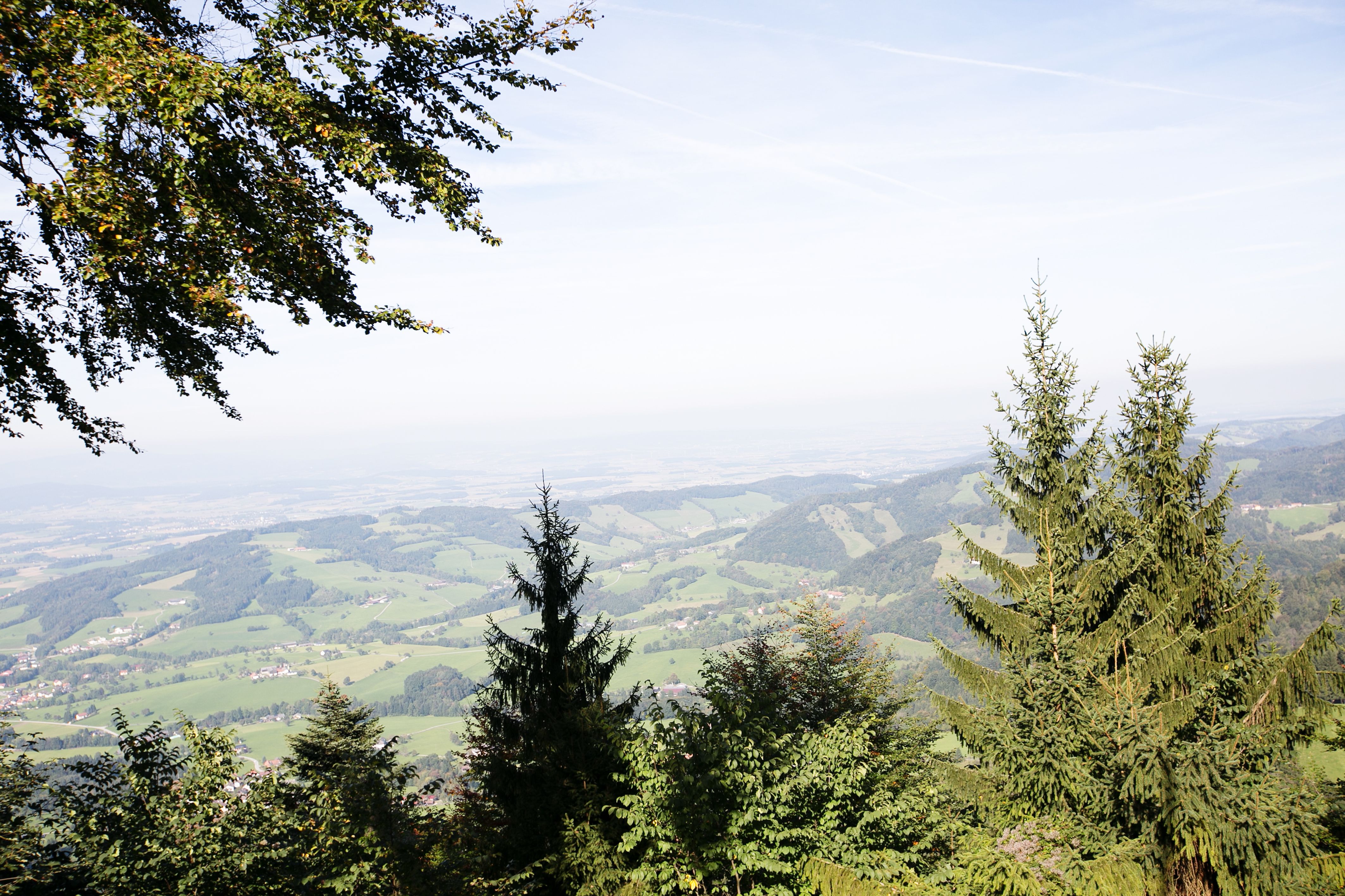 Panoramatický pohled z chaty Grüntalkogelhütte na zelenou kopcovitou krajinu se stromy v popředí.