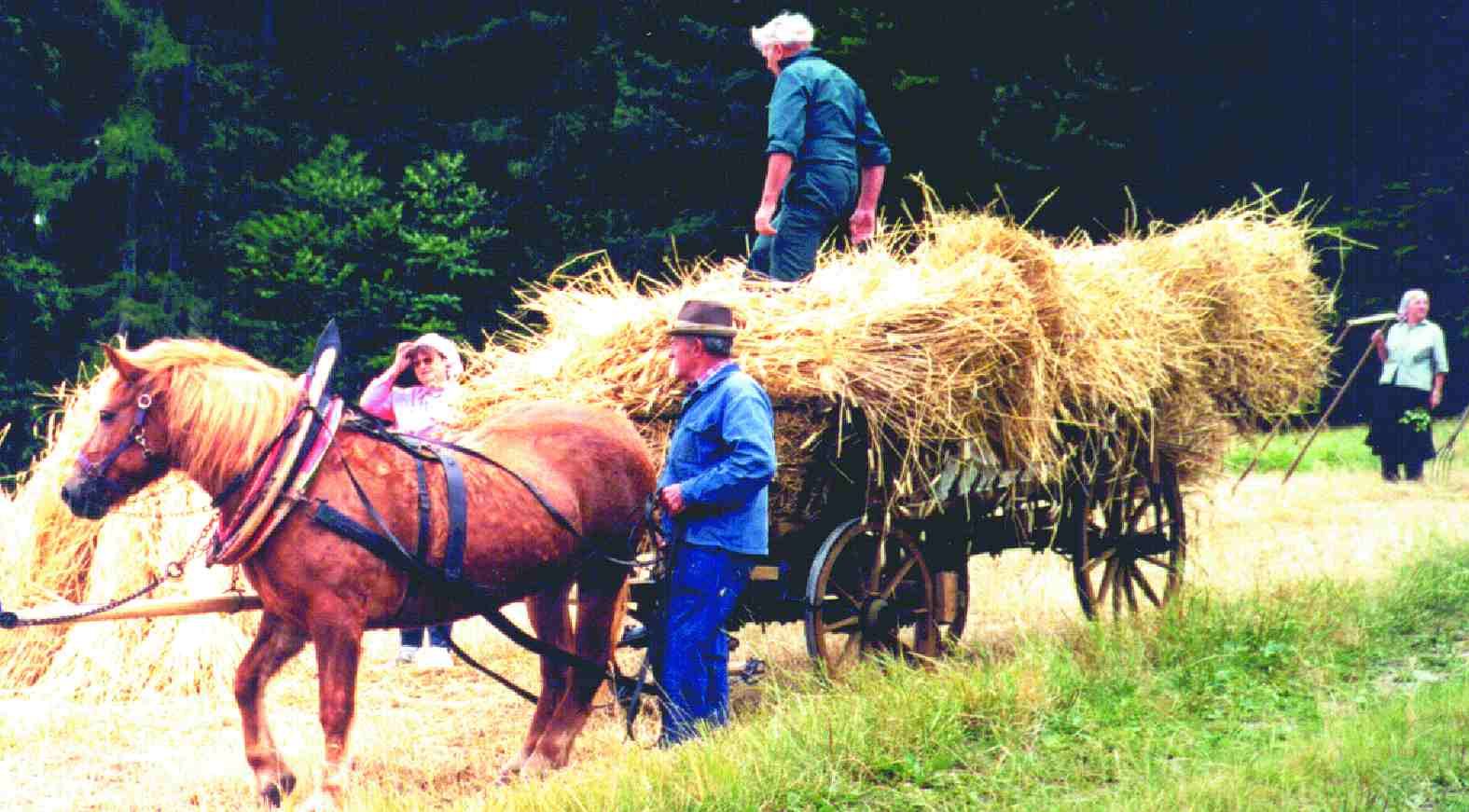 Farmář