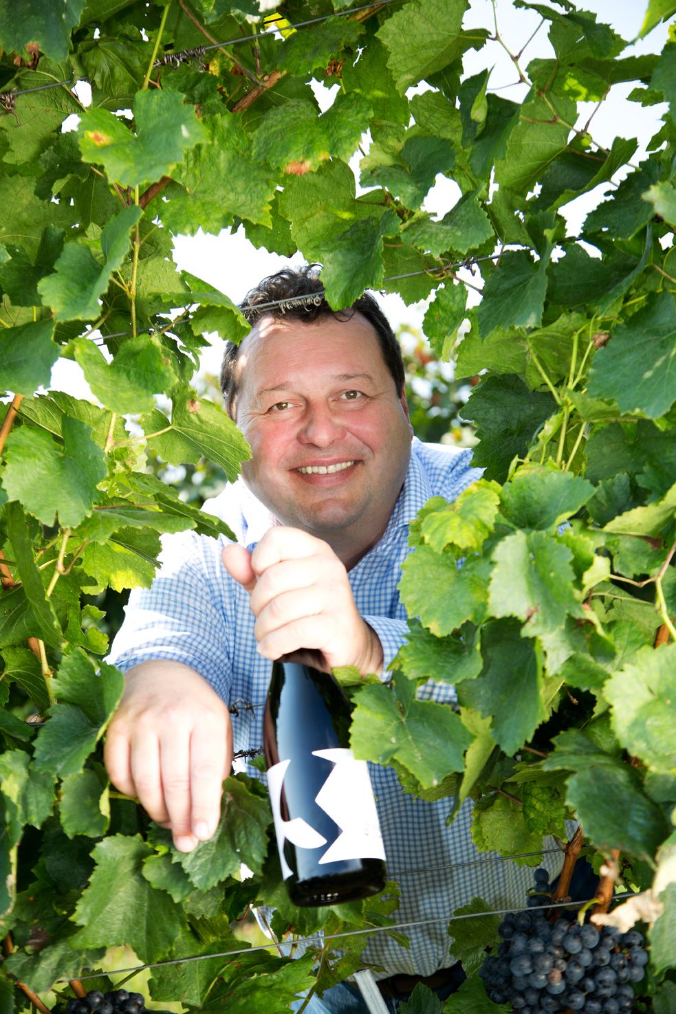 Walter Glatzer, Göttlesbrunn