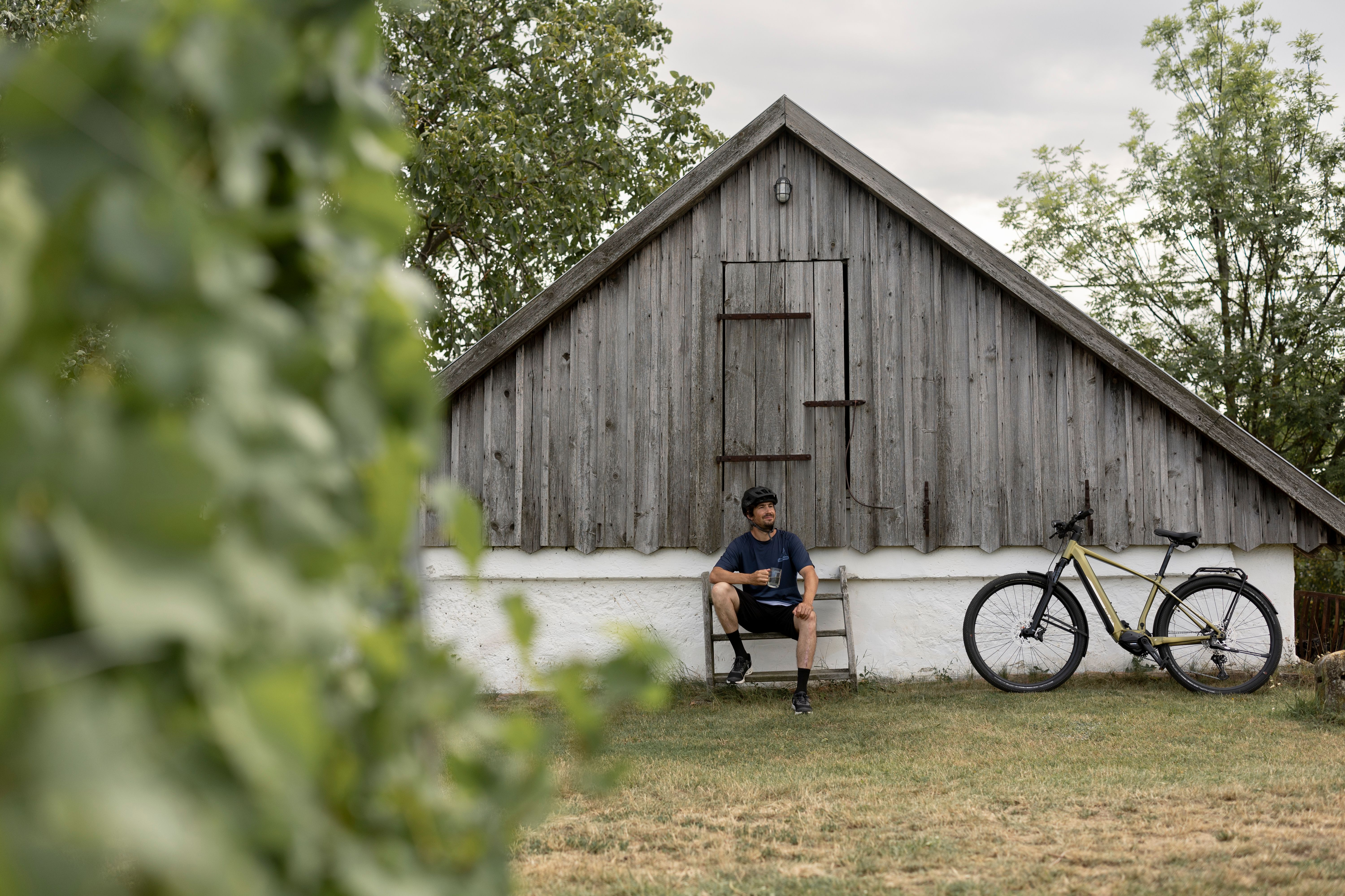 Malebná sklepní ulička s bílými lisovnami a kvetoucími šeříky v popředí.