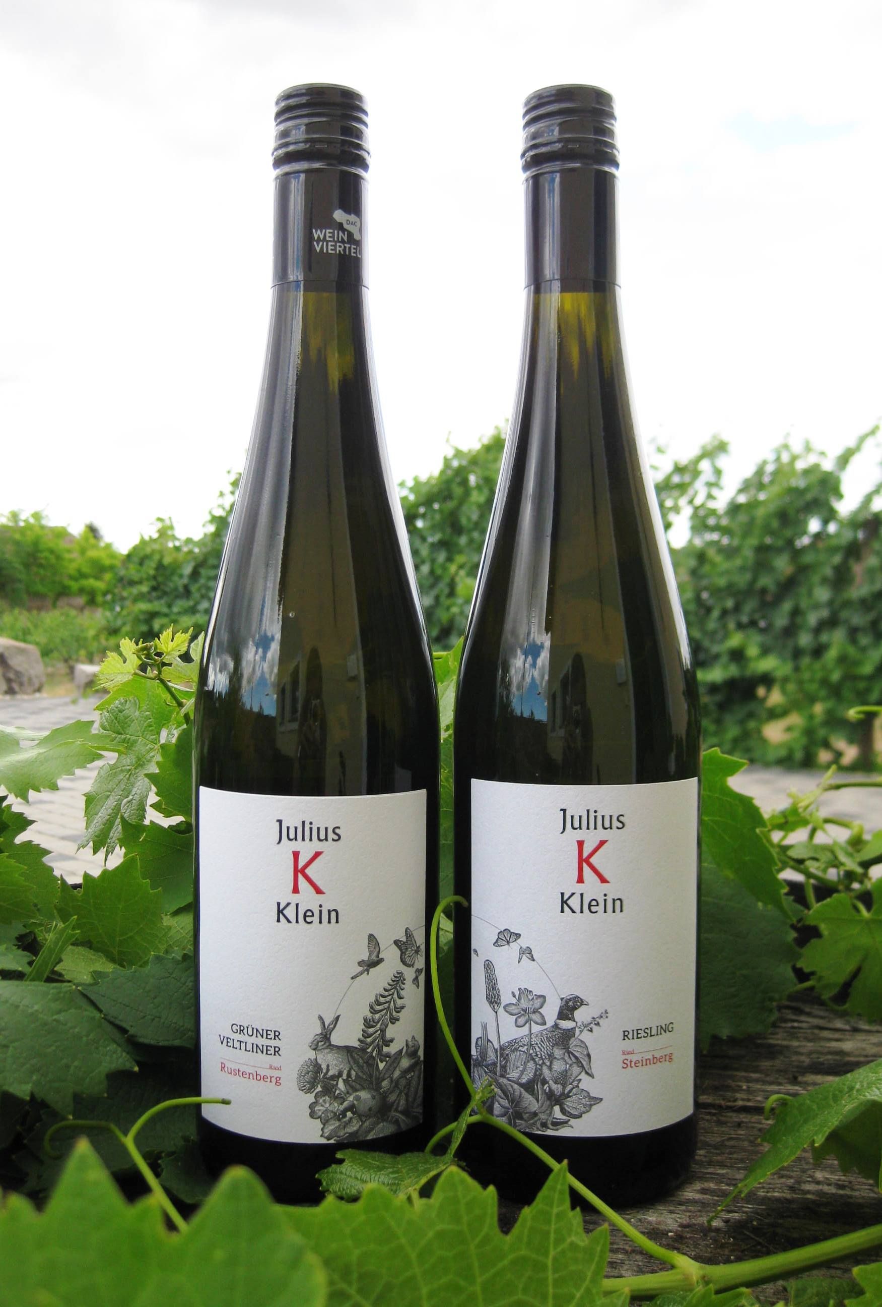 Dvě lahve vína Julius Klein na vinici.